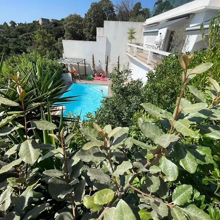 Villa La Des Cycas Porto-Vecchio (Corsica)